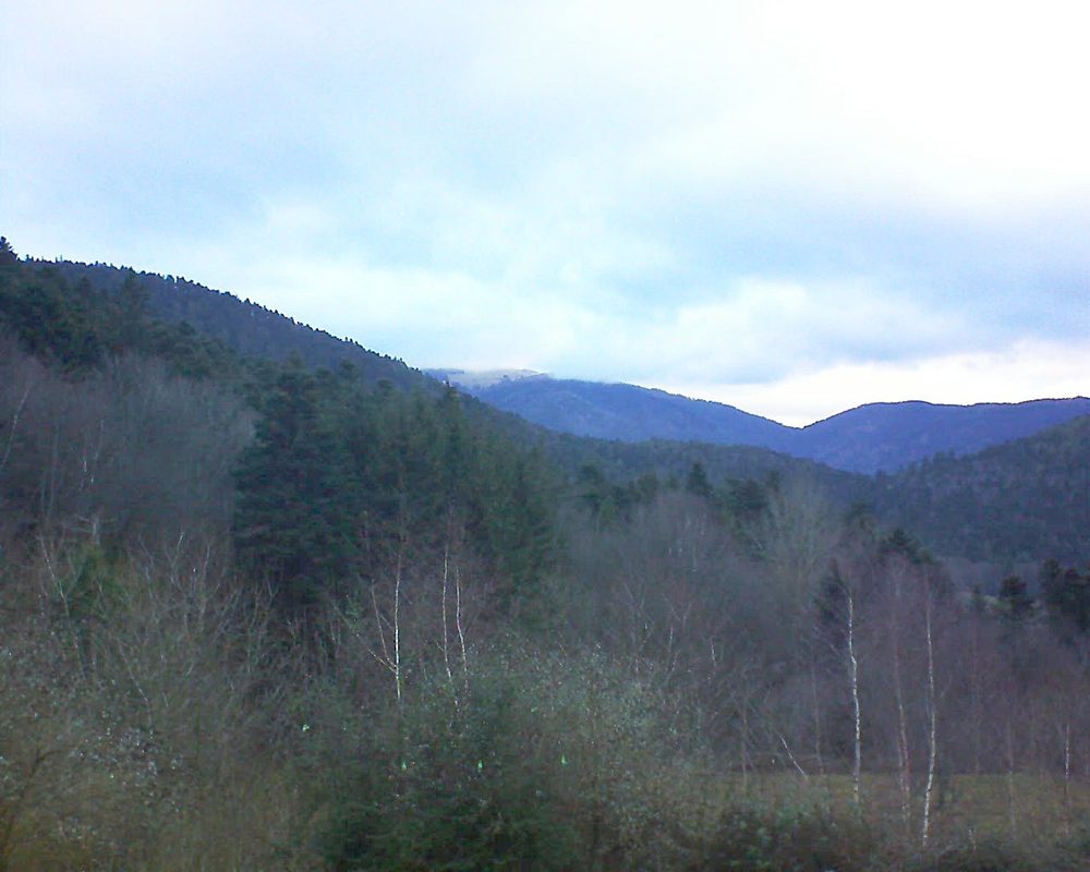 Le petit ballon vu depuis le Domaine Langmatt à Murbach le 01.01.2019 à 15:30 Le petit ballon (Alsace, Vosges) le 01.01.2019 à 15:30