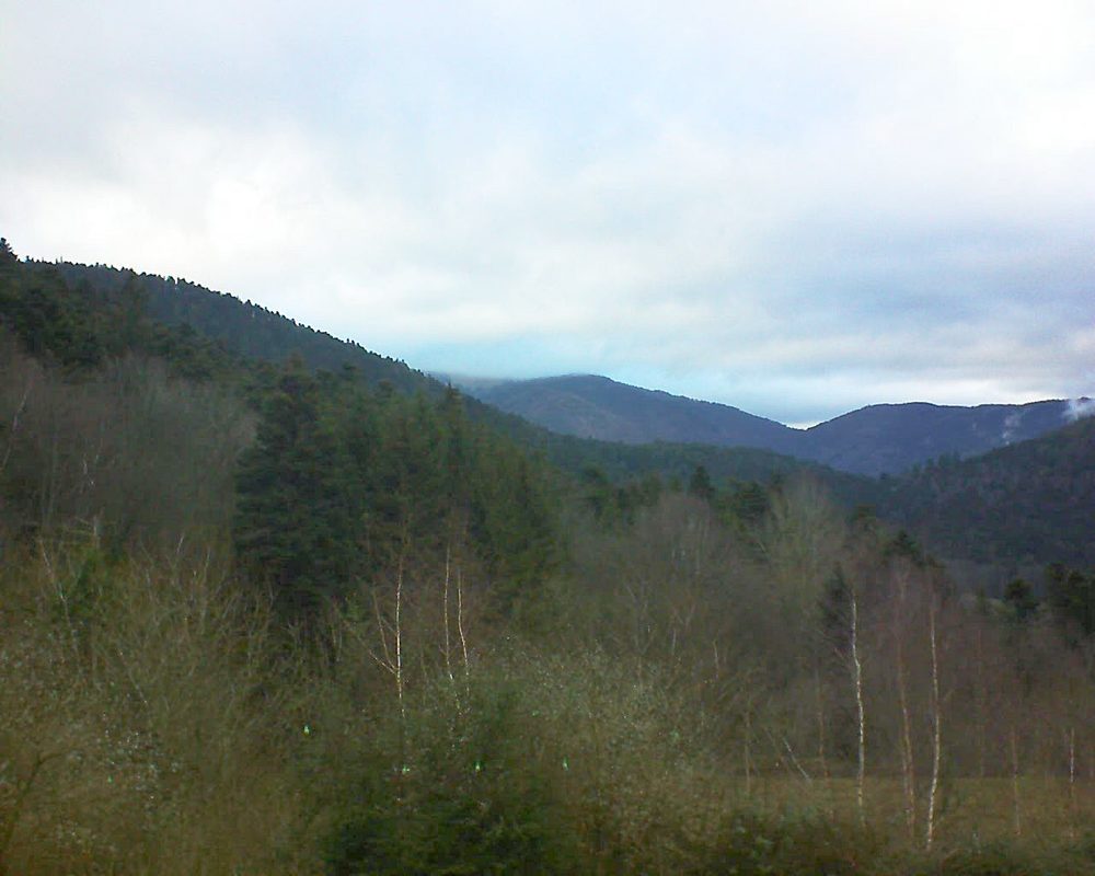 Le petit ballon vu depuis le Domaine Langmatt à Murbach le 01.01.2019 à 16:00 Le petit ballon (Alsace, Vosges) le 01.01.2019 à 16:00
