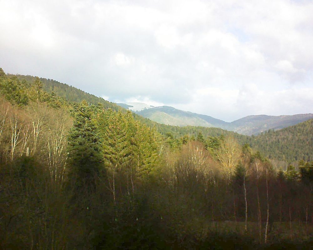 Le petit ballon vu depuis le Domaine Langmatt à Murbach le 02.01.2019 à 11:45 Le petit ballon (Alsace, Vosges) le 02.01.2019 à 11:45