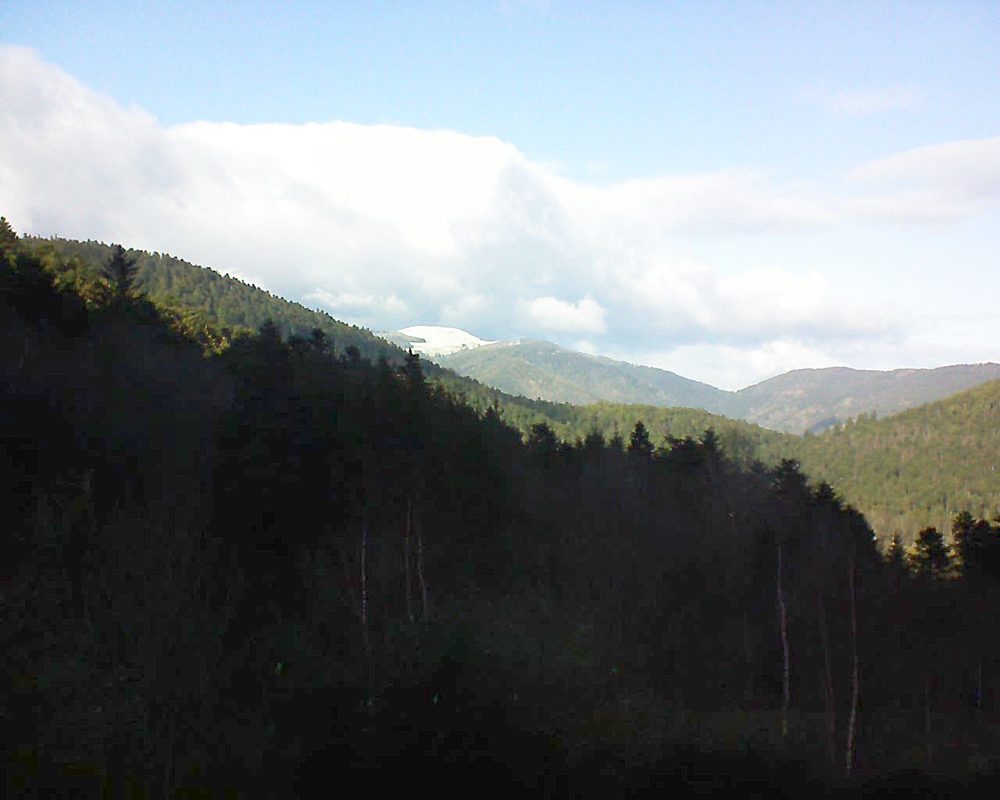 Le petit ballon vu depuis le Domaine Langmatt à Murbach le 02.01.2019 à 14:00 Le petit ballon (Alsace, Vosges) le 02.01.2019 à 14:00