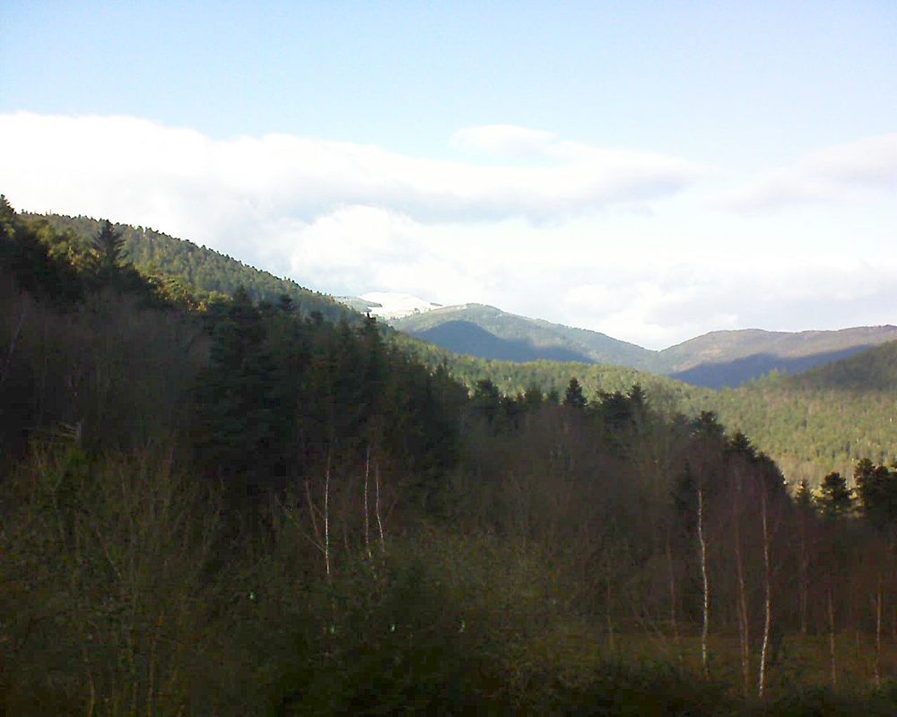 Le petit ballon vu depuis le Domaine Langmatt à Murbach le 02.01.2019 à 14:15 Le petit ballon (Alsace, Vosges) le 02.01.2019 à 14:15