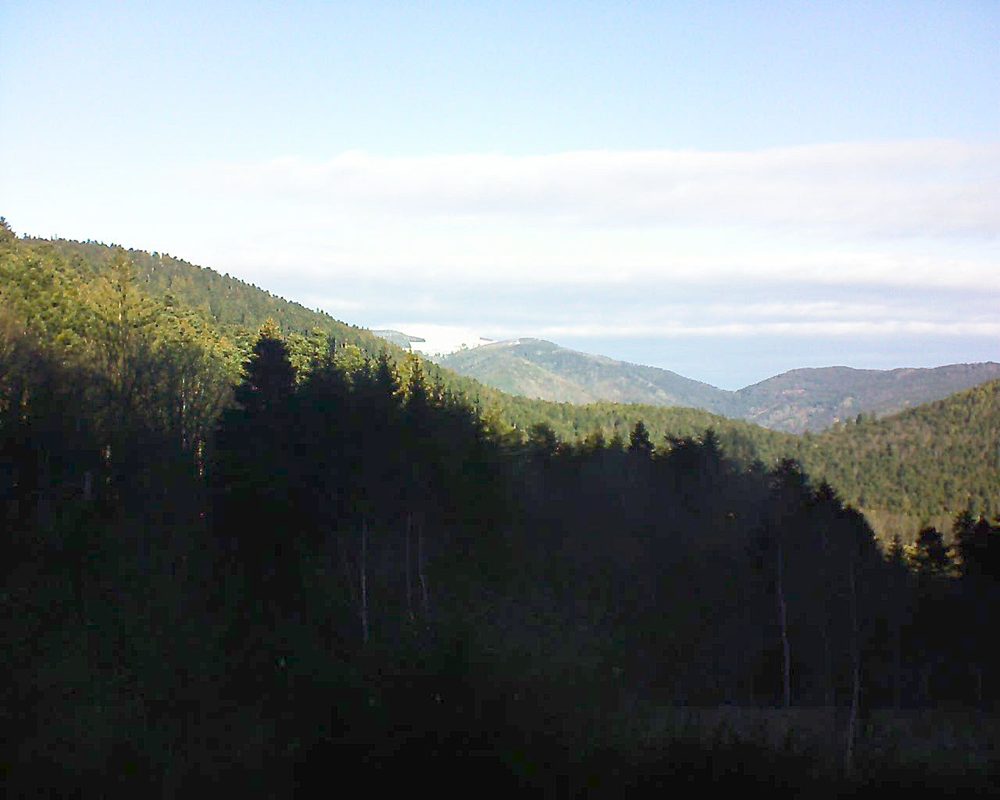 Le petit ballon vu depuis le Domaine Langmatt à Murbach le 03.01.2019 à 11:15 Le petit ballon (Alsace, Vosges) le 03.01.2019 à 11:15
