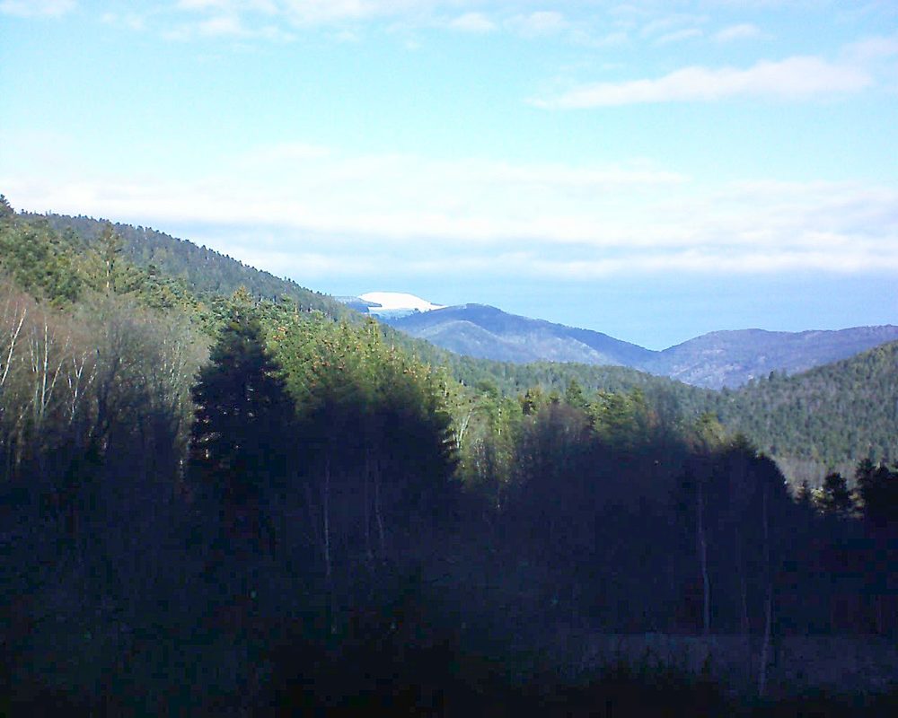 Le petit ballon vu depuis le Domaine Langmatt à Murbach le 03.01.2019 à 11:30 Le petit ballon (Alsace, Vosges) le 03.01.2019 à 11:30