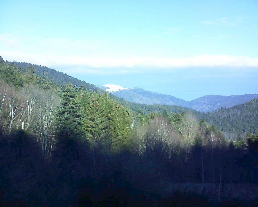 Le petit ballon vu depuis le Domaine Langmatt à Murbach le 03.01.2019 à 11:45 Le petit ballon (Alsace, Vosges) le 03.01.2019 à 11:45