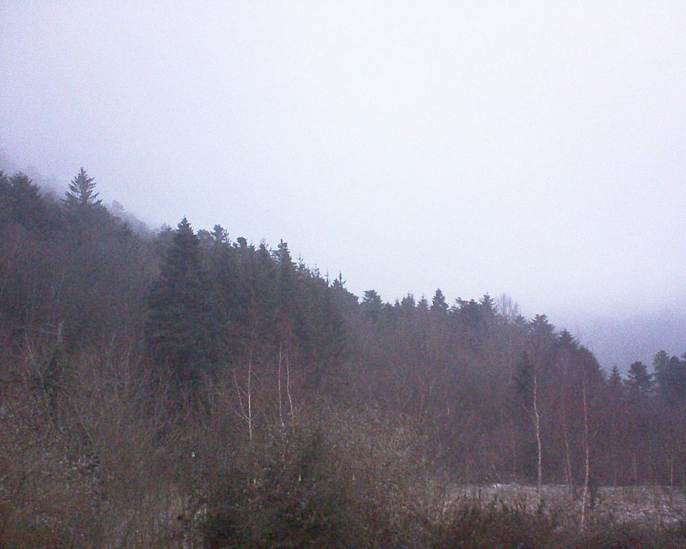 Le petit ballon vu depuis le Domaine Langmatt à Murbach le 04.01.2019 à 08:15 Le petit ballon (Alsace, Vosges) le 04.01.2019 à 08:15