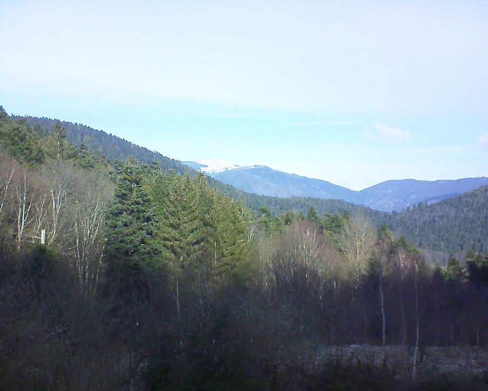 Le petit ballon vu depuis le Domaine Langmatt à Murbach le 04.01.2019 à 11:45 Le petit ballon (Alsace, Vosges) le 04.01.2019 à 11:45
