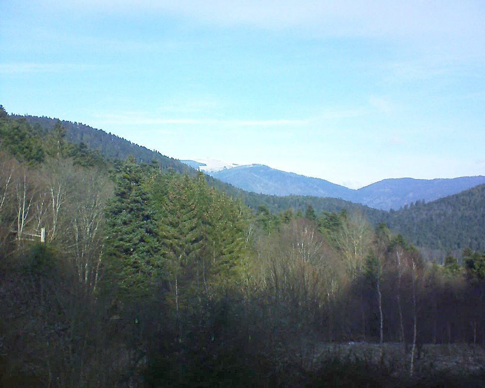 Le petit ballon vu depuis le Domaine Langmatt à Murbach le 04.01.2019 à 12:00 Le petit ballon (Alsace, Vosges) le 04.01.2019 à 12:00