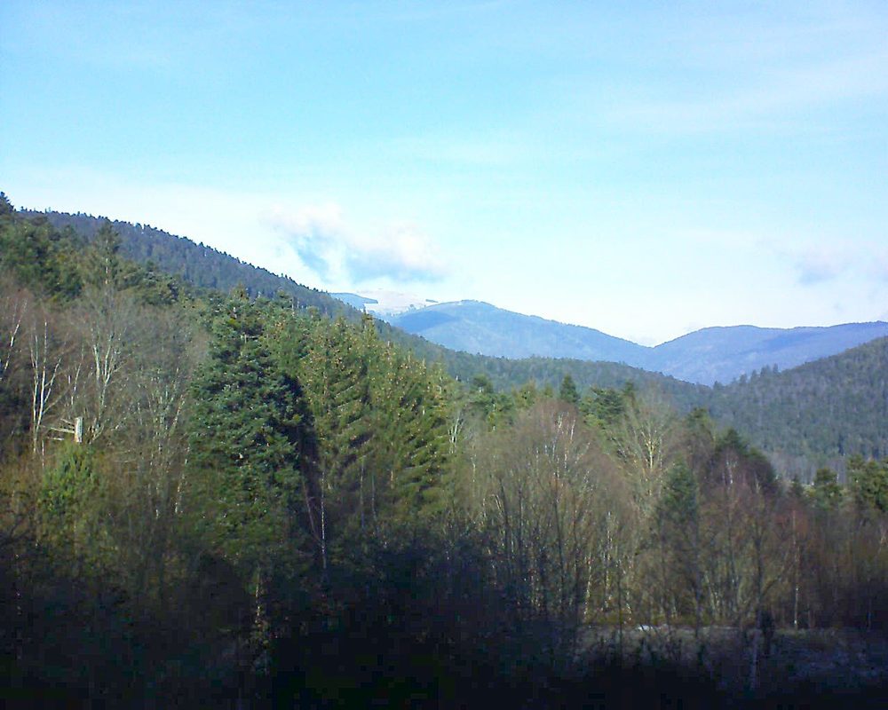 Le petit ballon vu depuis le Domaine Langmatt à Murbach le 04.01.2019 à 12:45 Le petit ballon (Alsace, Vosges) le 04.01.2019 à 12:45