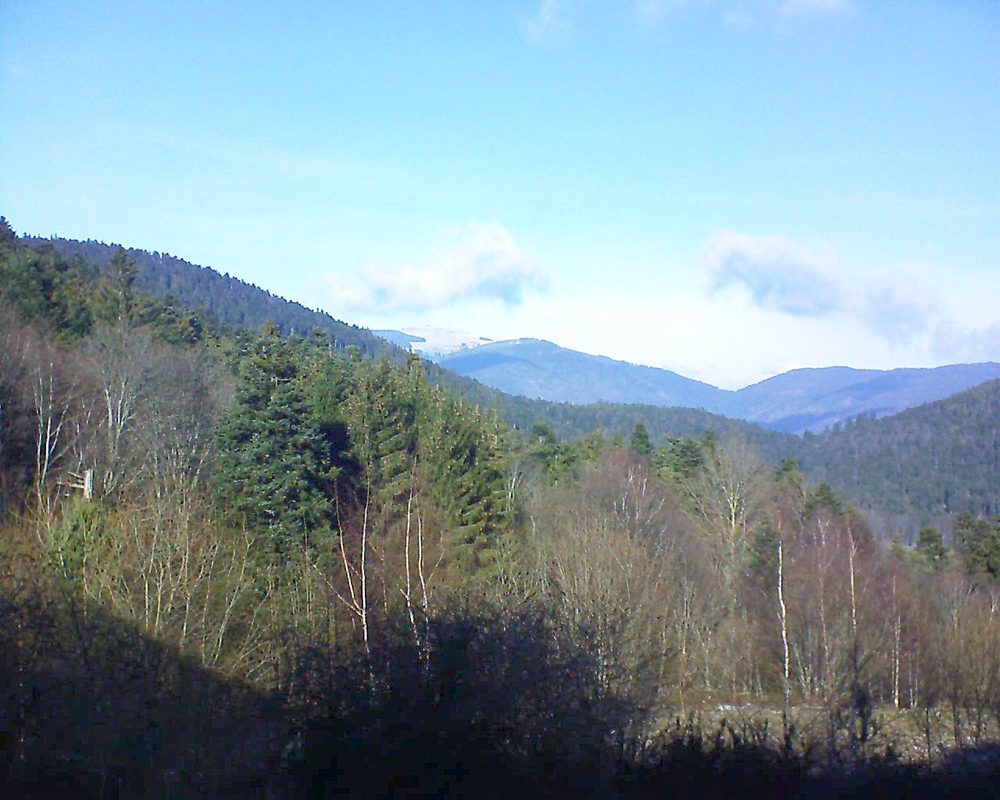Le petit ballon vu depuis le Domaine Langmatt à Murbach le 04.01.2019 à 13:00 Le petit ballon (Alsace, Vosges) le 04.01.2019 à 13:00
