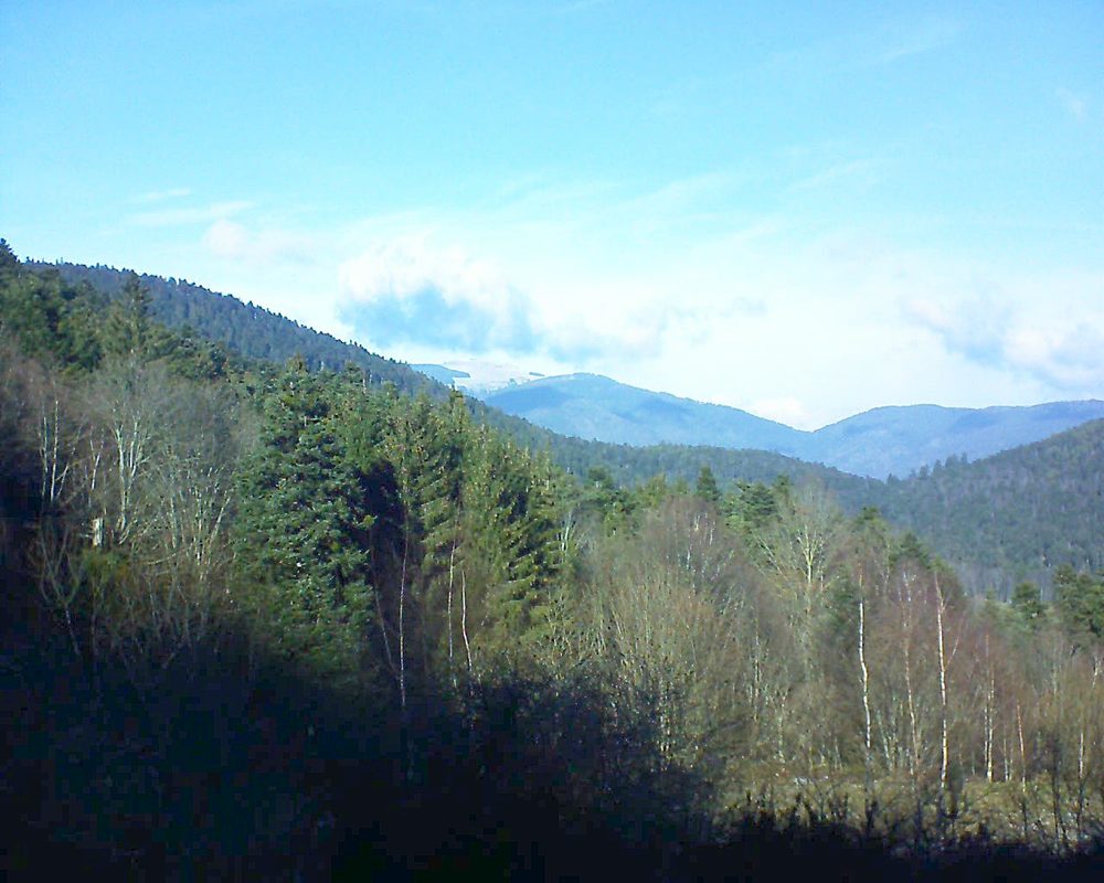 Le petit ballon vu depuis le Domaine Langmatt à Murbach le 04.01.2019 à 13:15 Le petit ballon (Alsace, Vosges) le 04.01.2019 à 13:15