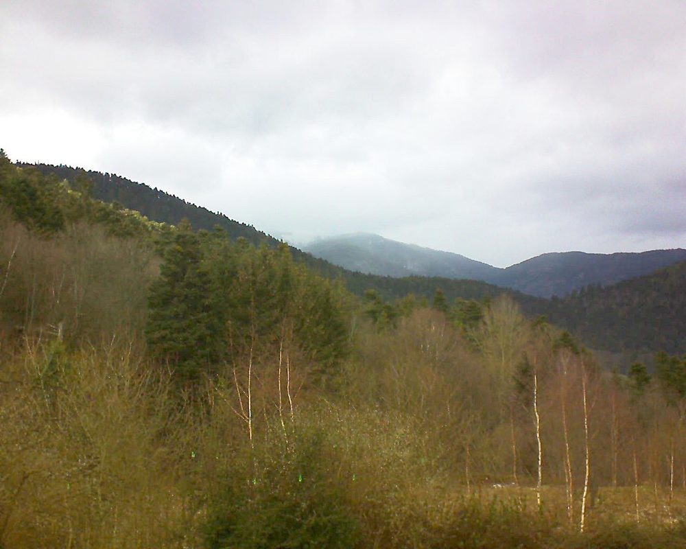 Le petit ballon vu depuis le Domaine Langmatt à Murbach le 05.01.2019 à 13:30 Le petit ballon (Alsace, Vosges) le 05.01.2019 à 13:30