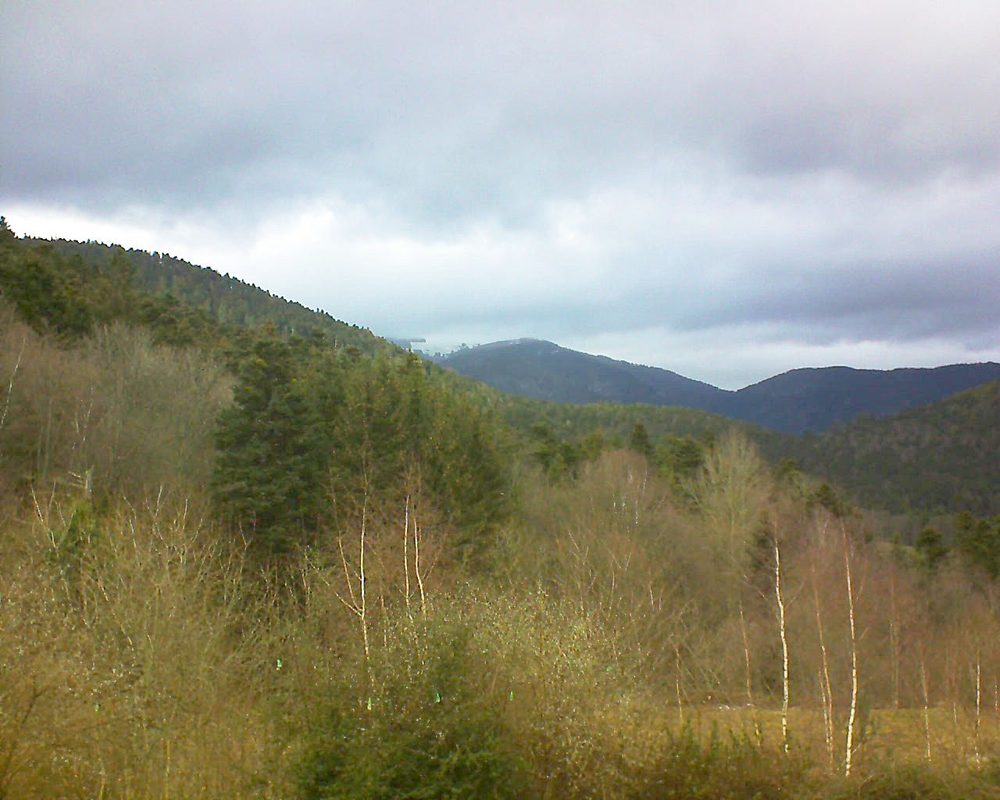 Le petit ballon vu depuis le Domaine Langmatt à Murbach le 05.01.2019 à 14:00 Le petit ballon (Alsace, Vosges) le 05.01.2019 à 14:00