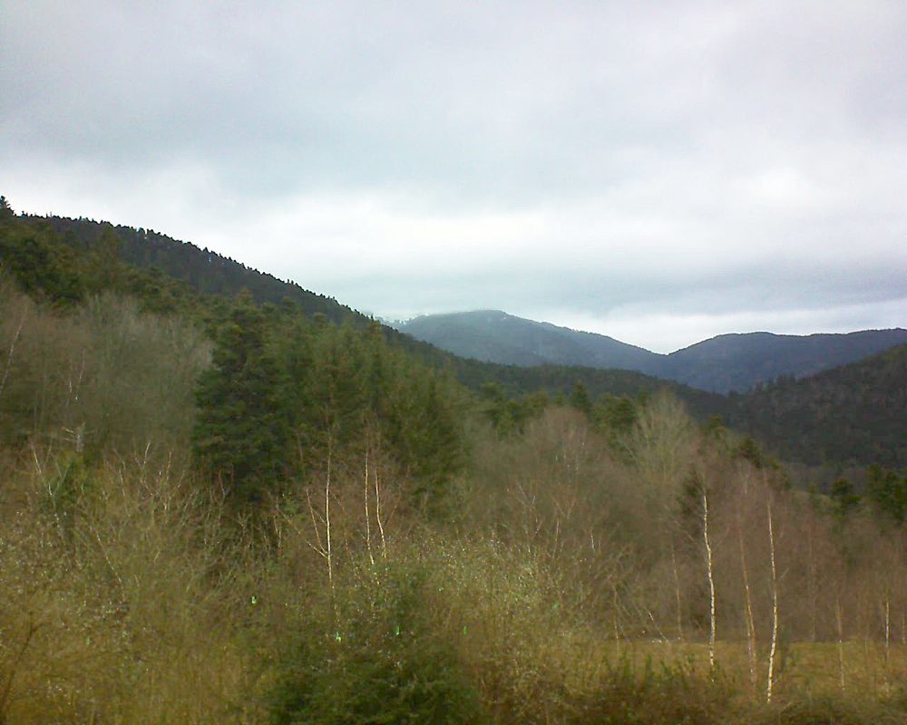 Le petit ballon vu depuis le Domaine Langmatt à Murbach le 05.01.2019 à 14:15 Le petit ballon (Alsace, Vosges) le 05.01.2019 à 14:15