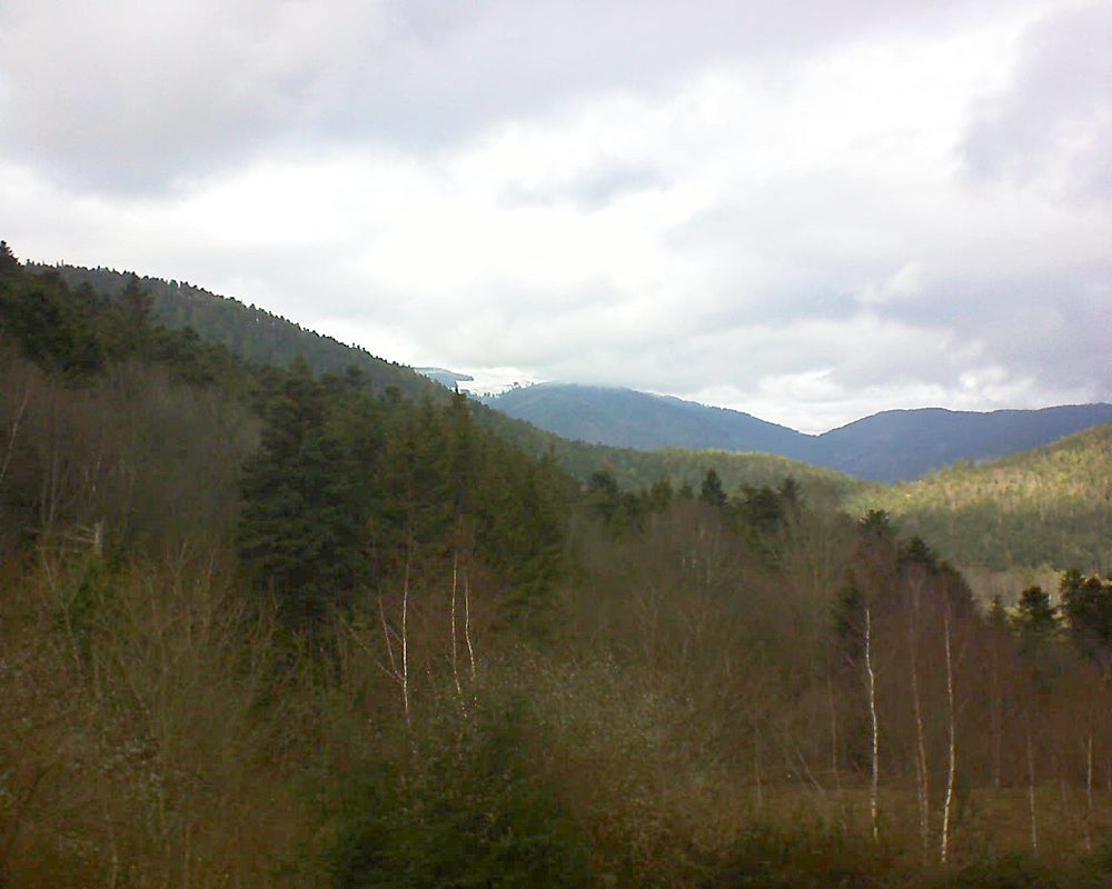 Le petit ballon vu depuis le Domaine Langmatt à Murbach le 06.01.2019 à 13:15 Le petit ballon (Alsace, Vosges) le 06.01.2019 à 13:15