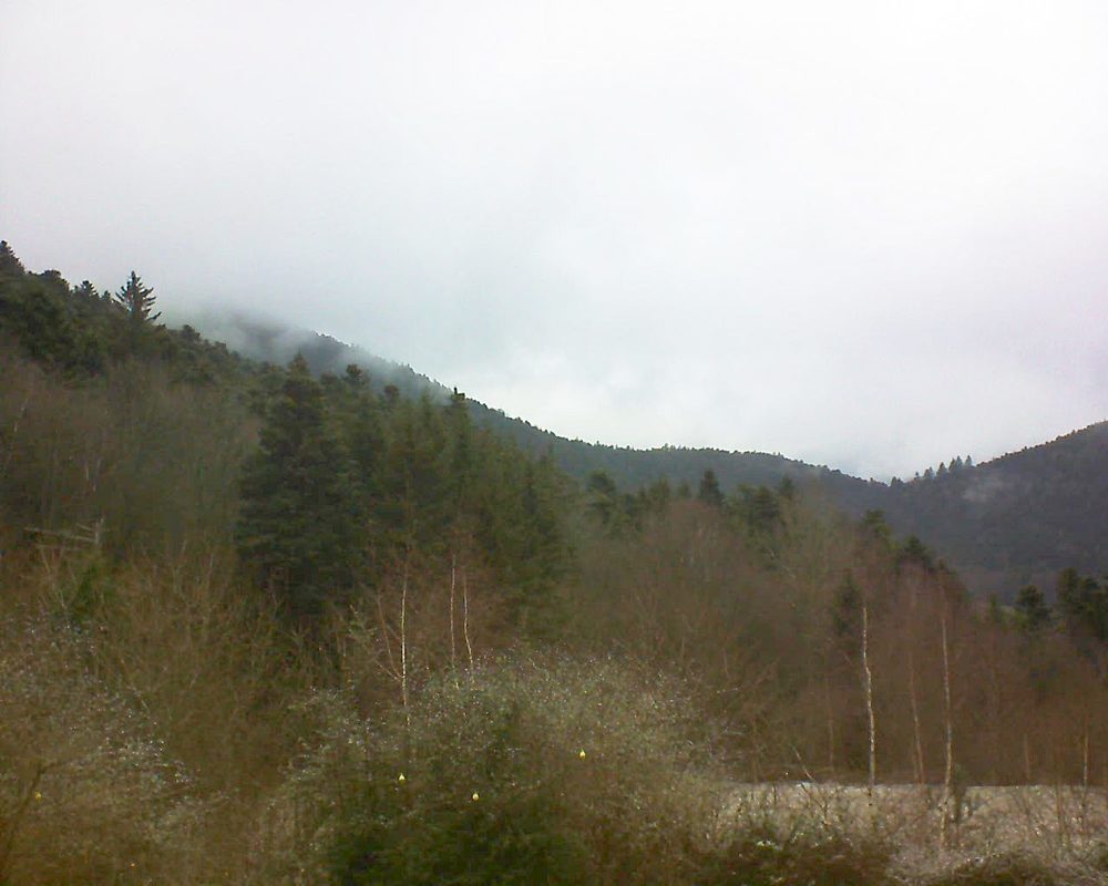 Le petit ballon vu depuis le Domaine Langmatt à Murbach le 07.01.2019 à 11:00 Le petit ballon (Alsace, Vosges) le 07.01.2019 à 11:00