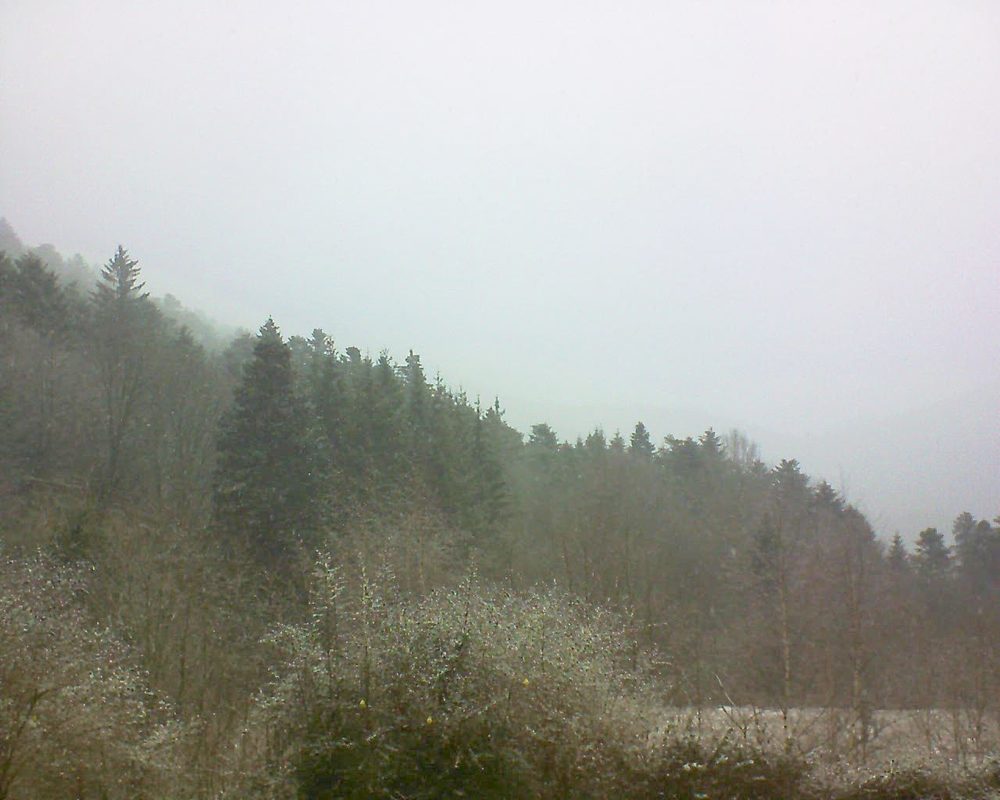 Le petit ballon vu depuis le Domaine Langmatt à Murbach le 07.01.2019 à 12:00 Le petit ballon (Alsace, Vosges) le 07.01.2019 à 12:00