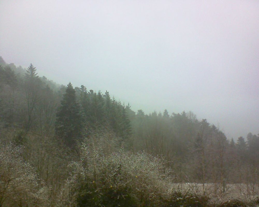 Le petit ballon vu depuis le Domaine Langmatt à Murbach le 07.01.2019 à 12:15 Le petit ballon (Alsace, Vosges) le 07.01.2019 à 12:15
