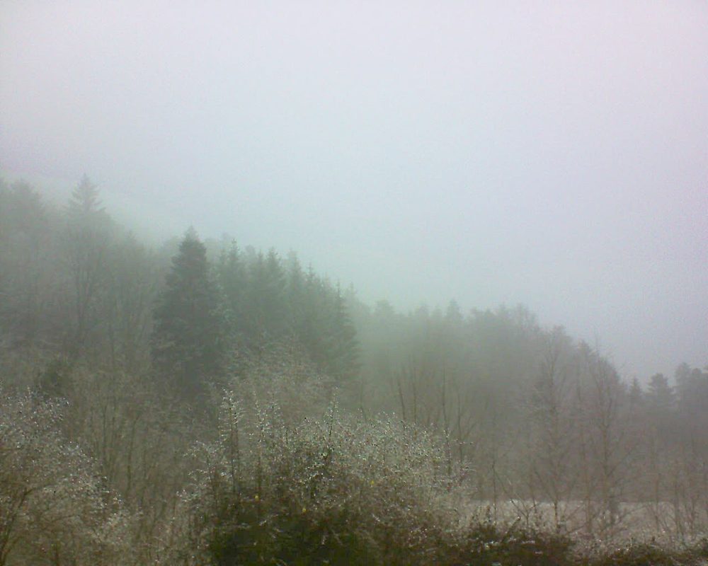 Le petit ballon vu depuis le Domaine Langmatt à Murbach le 07.01.2019 à 12:45 Le petit ballon (Alsace, Vosges) le 07.01.2019 à 12:45