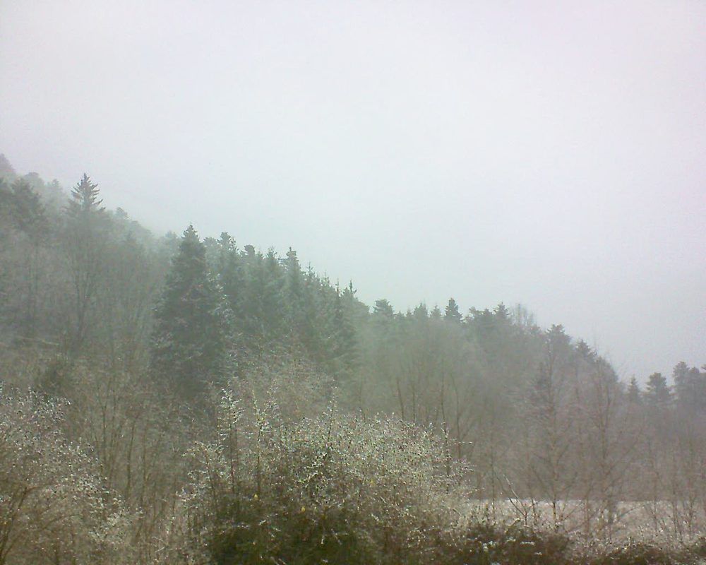Le petit ballon vu depuis le Domaine Langmatt à Murbach le 07.01.2019 à 13:00 Le petit ballon (Alsace, Vosges) le 07.01.2019 à 13:00