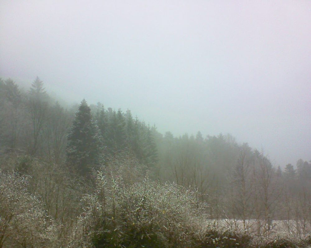 Le petit ballon vu depuis le Domaine Langmatt à Murbach le 07.01.2019 à 13:15 Le petit ballon (Alsace, Vosges) le 07.01.2019 à 13:15