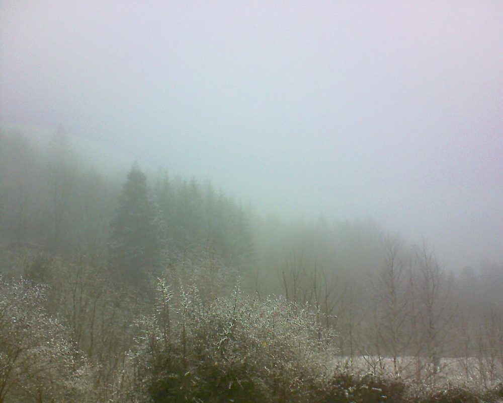Le petit ballon vu depuis le Domaine Langmatt à Murbach le 07.01.2019 à 13:45 Le petit ballon (Alsace, Vosges) le 07.01.2019 à 13:45