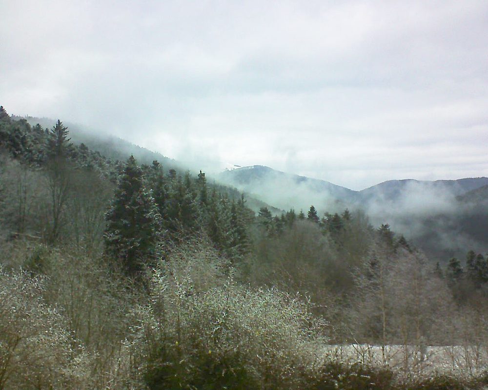 Le petit ballon vu depuis le Domaine Langmatt à Murbach le 07.01.2019 à 14:15 Le petit ballon (Alsace, Vosges) le 07.01.2019 à 14:15