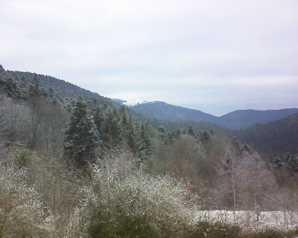Le petit ballon vu depuis le Domaine Langmatt à Murbach le 07.01.2019 à 15:45 Le petit ballon (Alsace, Vosges) le 07.01.2019 à 15:45
