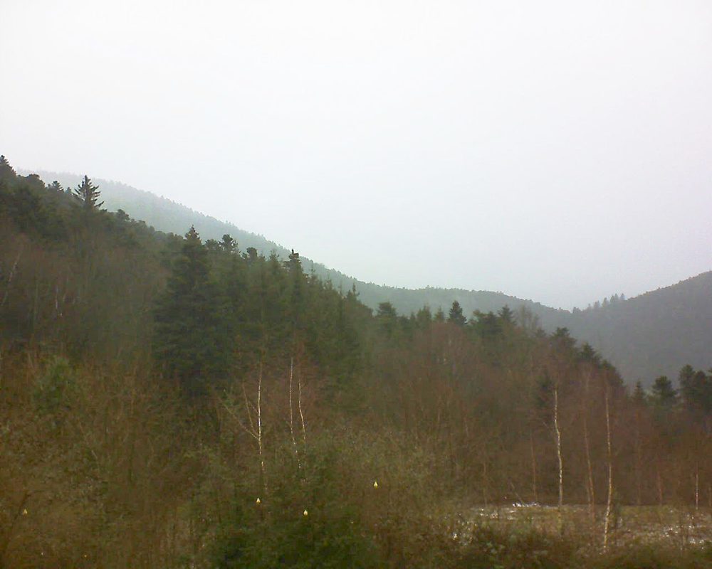 Le petit ballon vu depuis le Domaine Langmatt à Murbach le 08.01.2019 à 10:45 Le petit ballon (Alsace, Vosges) le 08.01.2019 à 10:45