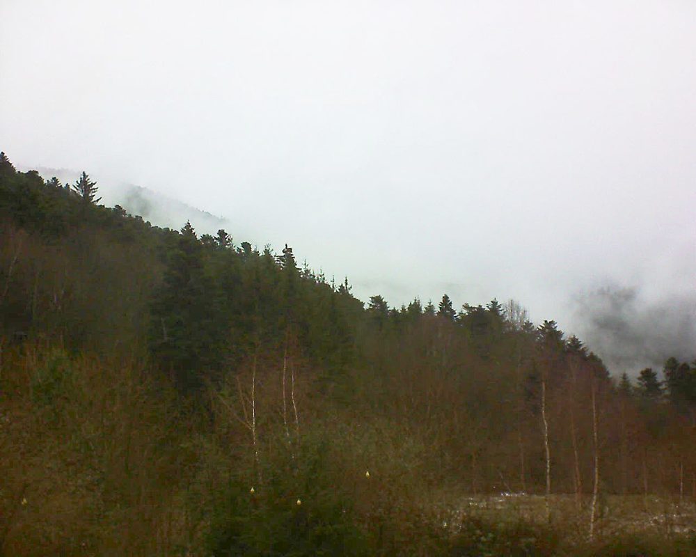 Le petit ballon vu depuis le Domaine Langmatt à Murbach le 08.01.2019 à 11:00 Le petit ballon (Alsace, Vosges) le 08.01.2019 à 11:00