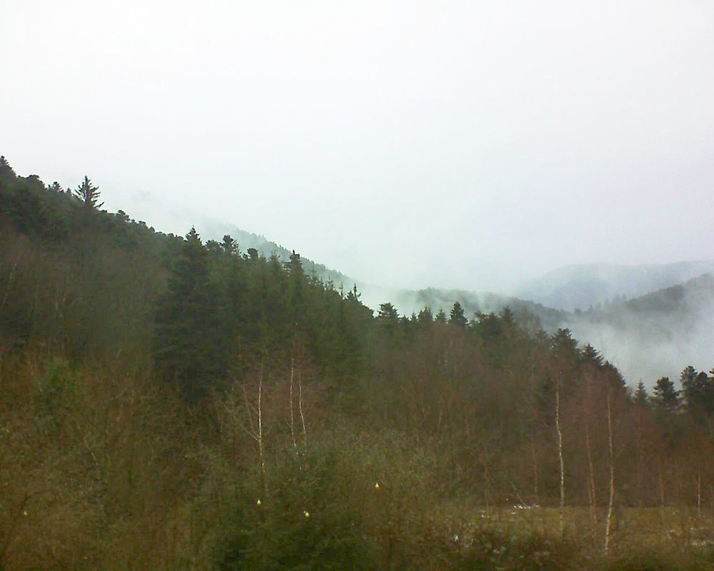 Le petit ballon vu depuis le Domaine Langmatt à Murbach le 08.01.2019 à 11:45 Le petit ballon (Alsace, Vosges) le 08.01.2019 à 11:45