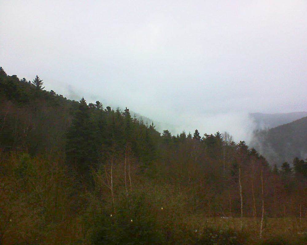 Le petit ballon vu depuis le Domaine Langmatt à Murbach le 08.01.2019 à 12:15 Le petit ballon (Alsace, Vosges) le 08.01.2019 à 12:15