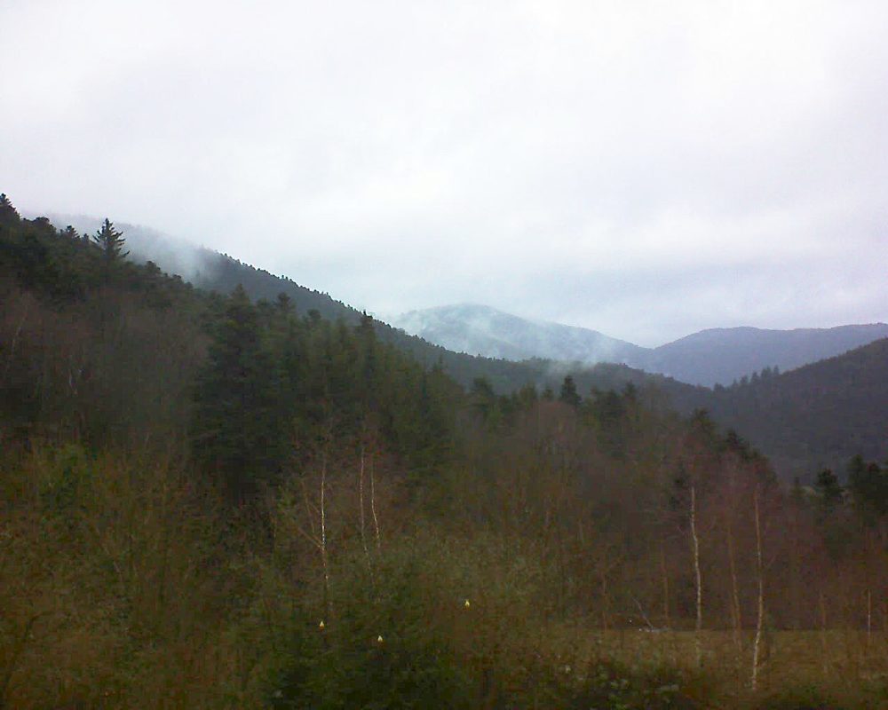 Le petit ballon vu depuis le Domaine Langmatt à Murbach le 08.01.2019 à 12:45 Le petit ballon (Alsace, Vosges) le 08.01.2019 à 12:45