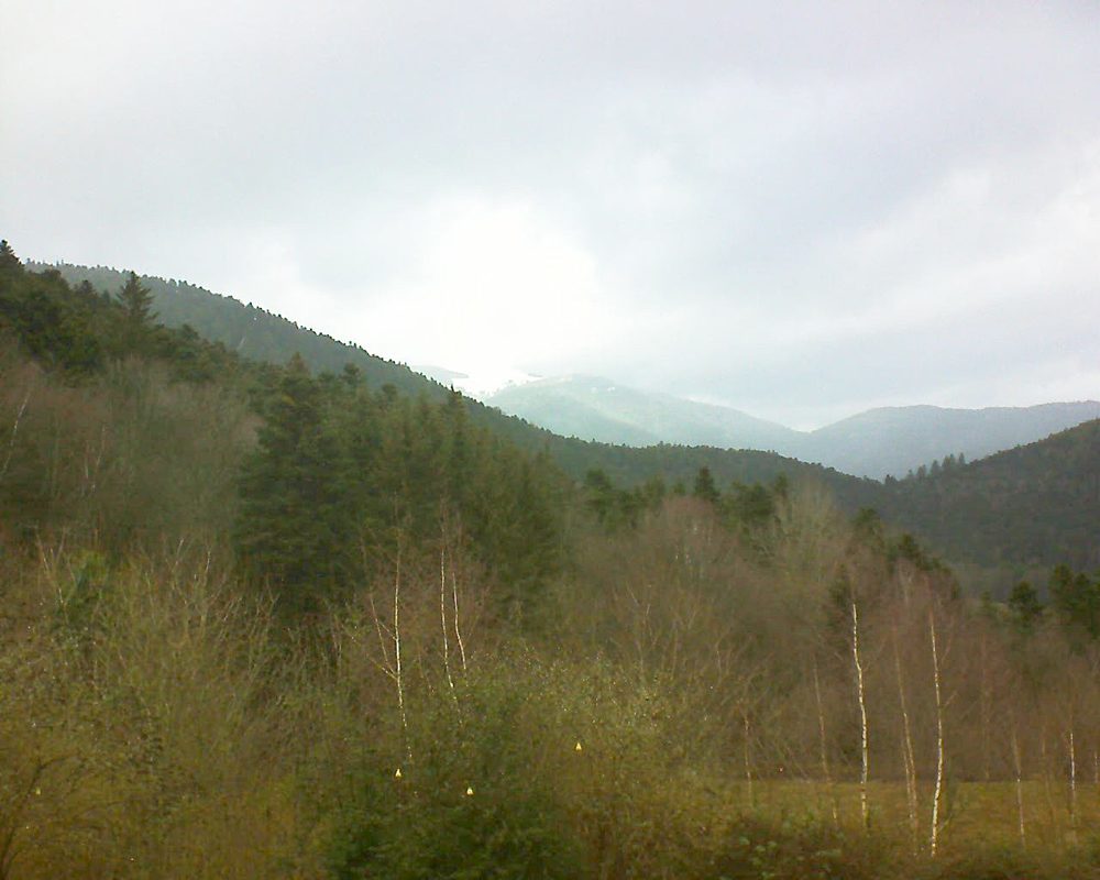 Le petit ballon vu depuis le Domaine Langmatt à Murbach le 08.01.2019 à 14:45 Le petit ballon (Alsace, Vosges) le 08.01.2019 à 14:45