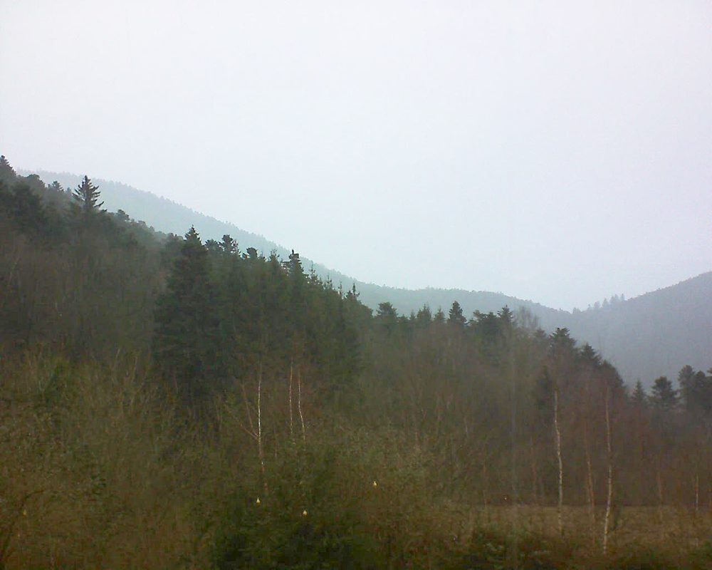 Le petit ballon vu depuis le Domaine Langmatt à Murbach le 08.01.2019 à 15:00 Le petit ballon (Alsace, Vosges) le 08.01.2019 à 15:00