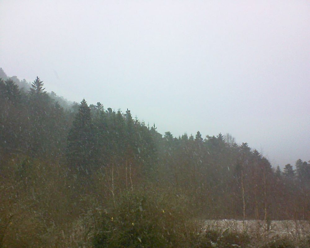 Le petit ballon vu depuis le Domaine Langmatt à Murbach le 08.01.2019 à 15:30 Le petit ballon (Alsace, Vosges) le 08.01.2019 à 15:30