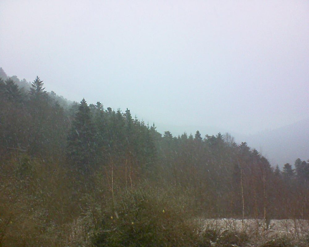 Le petit ballon vu depuis le Domaine Langmatt à Murbach le 08.01.2019 à 15:45 Le petit ballon (Alsace, Vosges) le 08.01.2019 à 15:45