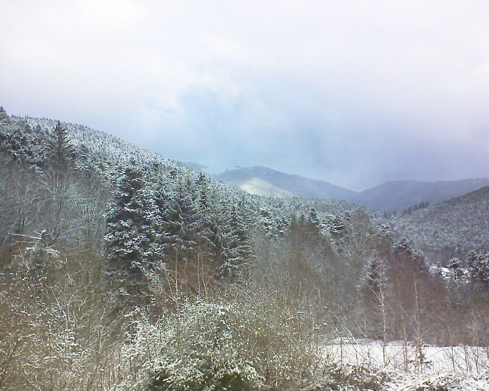 Le petit ballon vu depuis le Domaine Langmatt à Murbach le 09.01.2019 à 11:30 Le petit ballon (Alsace, Vosges) le 09.01.2019 à 11:30