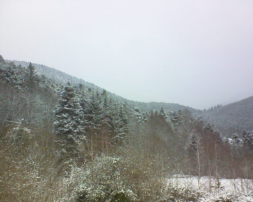 Le petit ballon vu depuis le Domaine Langmatt à Murbach le 09.01.2019 à 12:30 Le petit ballon (Alsace, Vosges) le 09.01.2019 à 12:30
