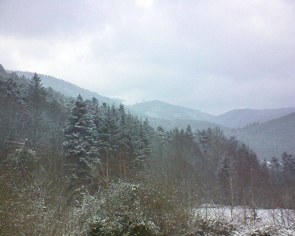 Le petit ballon vu depuis le Domaine Langmatt à Murbach le 09.01.2019 à 12:45 Le petit ballon (Alsace, Vosges) le 09.01.2019 à 12:45