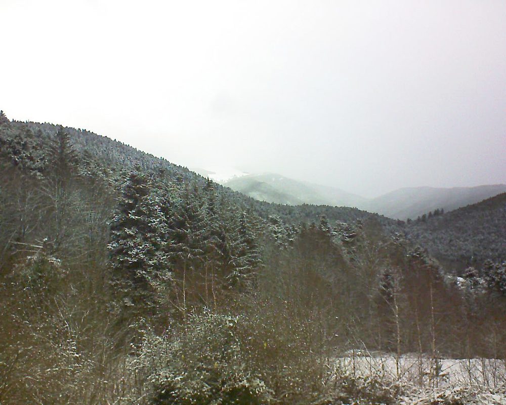 Le petit ballon vu depuis le Domaine Langmatt à Murbach le 09.01.2019 à 13:15 Le petit ballon (Alsace, Vosges) le 09.01.2019 à 13:15