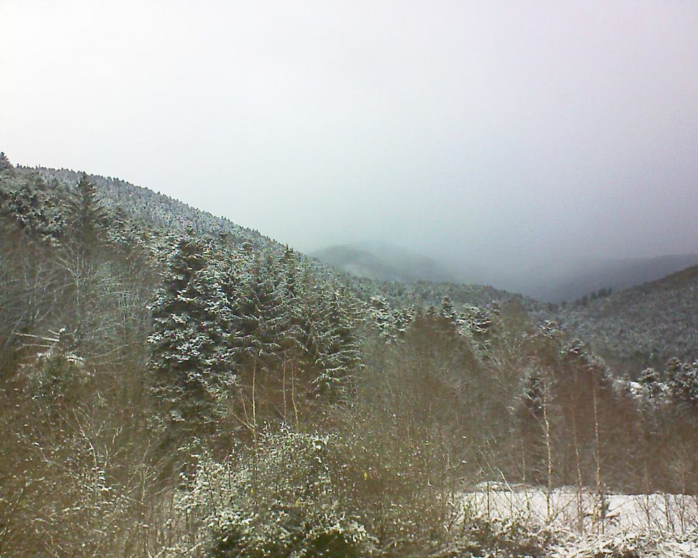 Le petit ballon vu depuis le Domaine Langmatt à Murbach le 09.01.2019 à 13:30 Le petit ballon (Alsace, Vosges) le 09.01.2019 à 13:30