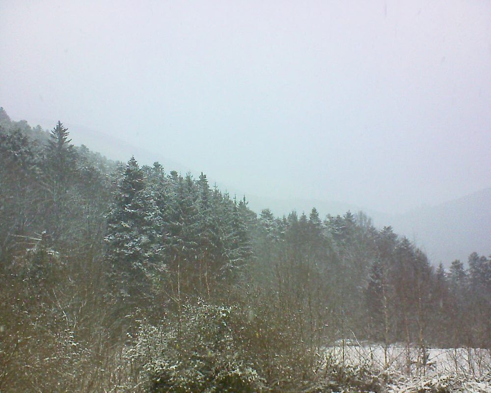 Le petit ballon vu depuis le Domaine Langmatt à Murbach le 09.01.2019 à 13:45 Le petit ballon (Alsace, Vosges) le 09.01.2019 à 13:45