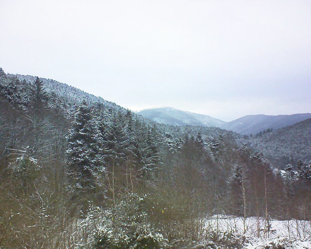 Le petit ballon vu depuis le Domaine Langmatt à Murbach le 10.01.2019 à 09:30 Le petit ballon (Alsace, Vosges) le 10.01.2019 à 09:30