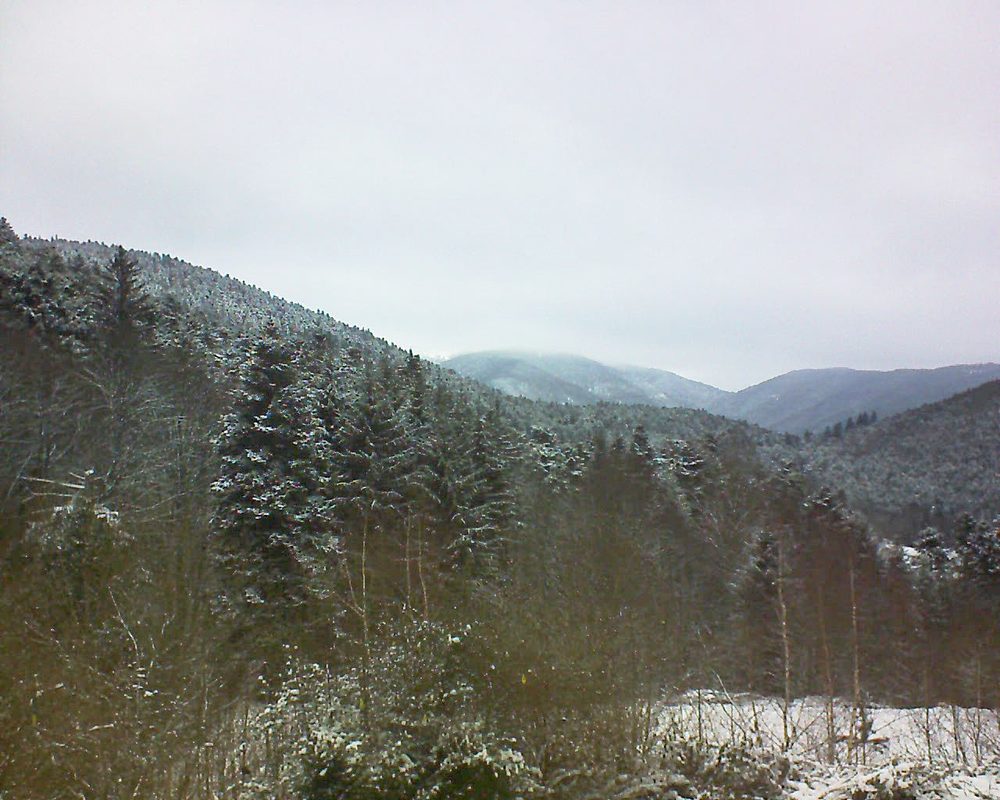 Le petit ballon vu depuis le Domaine Langmatt à Murbach le 10.01.2019 à 10:45 Le petit ballon (Alsace, Vosges) le 10.01.2019 à 10:45