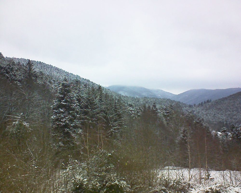 Le petit ballon vu depuis le Domaine Langmatt à Murbach le 10.01.2019 à 11:00 Le petit ballon (Alsace, Vosges) le 10.01.2019 à 11:00