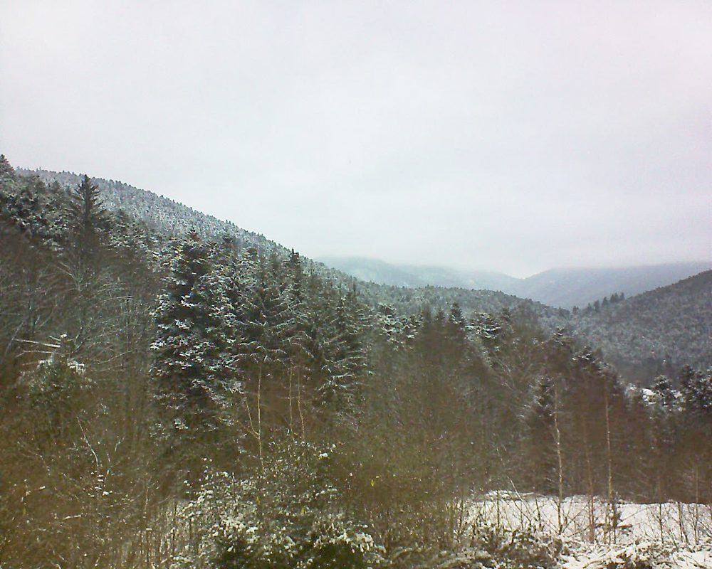 Le petit ballon vu depuis le Domaine Langmatt à Murbach le 10.01.2019 à 11:45 Le petit ballon (Alsace, Vosges) le 10.01.2019 à 11:45