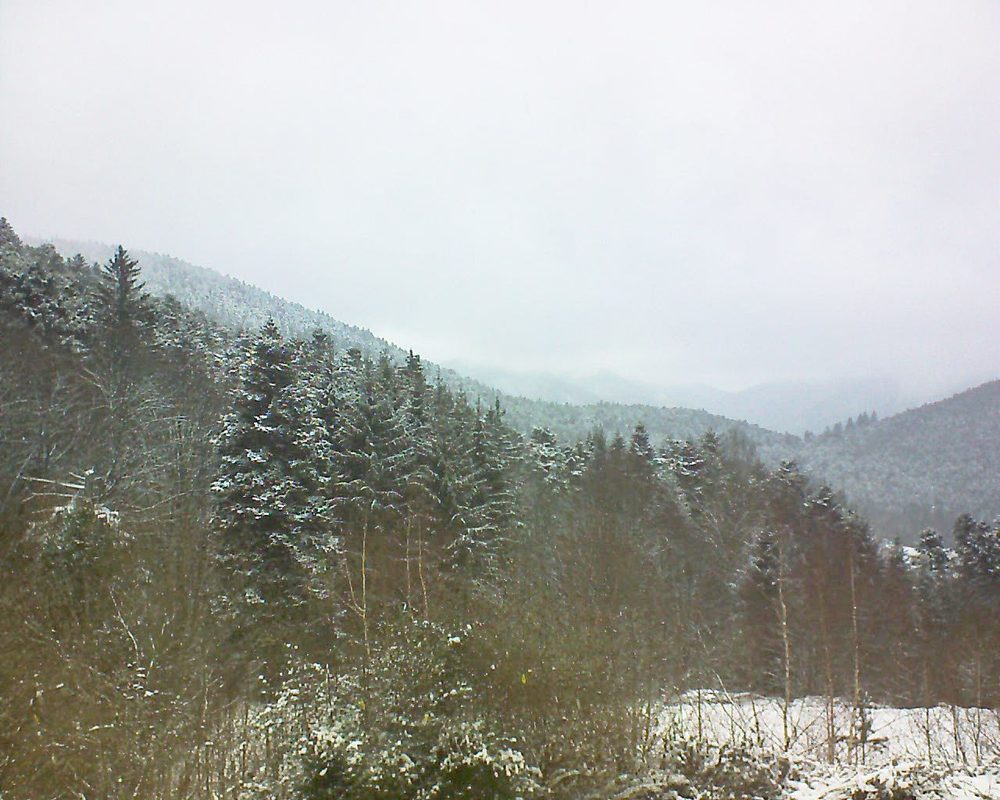 Le petit ballon vu depuis le Domaine Langmatt à Murbach le 10.01.2019 à 12:45 Le petit ballon (Alsace, Vosges) le 10.01.2019 à 12:45
