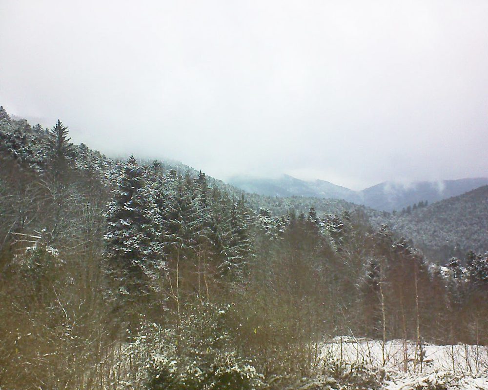 Le petit ballon vu depuis le Domaine Langmatt à Murbach le 10.01.2019 à 13:30 Le petit ballon (Alsace, Vosges) le 10.01.2019 à 13:30