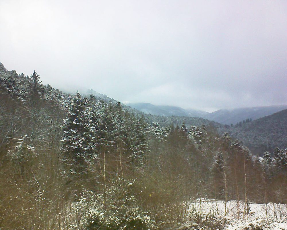 Le petit ballon vu depuis le Domaine Langmatt à Murbach le 10.01.2019 à 13:45 Le petit ballon (Alsace, Vosges) le 10.01.2019 à 13:45