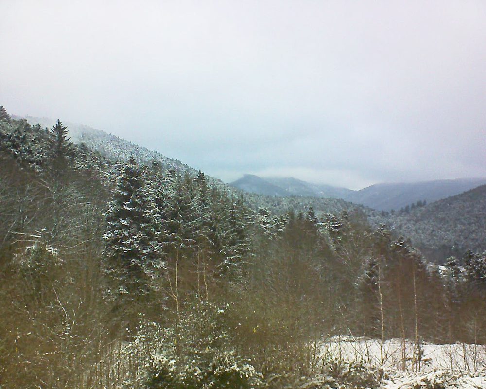 Le petit ballon vu depuis le Domaine Langmatt à Murbach le 10.01.2019 à 14:00 Le petit ballon (Alsace, Vosges) le 10.01.2019 à 14:00